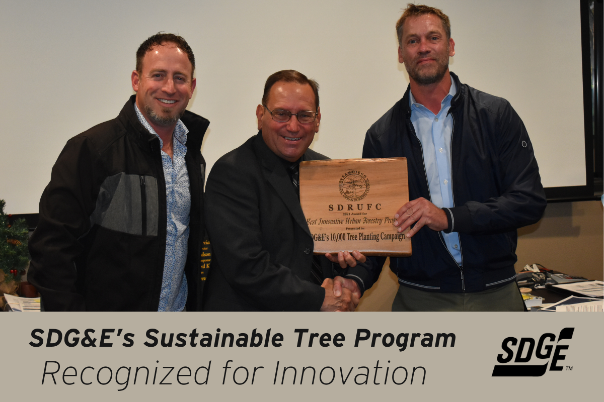 SDG E s Sustainable Tree Program Recognized For Innovation SDGE San 
